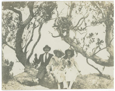 Group of one man and two women sitting on the branch of a tree laughing