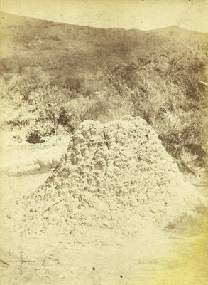 Photograph of mud volcano, Wakarewarewa