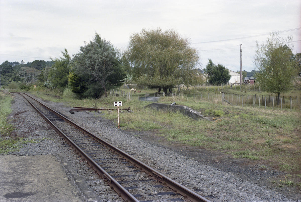 Photograph of track, Waimauku Museum of Transport and Technology, New