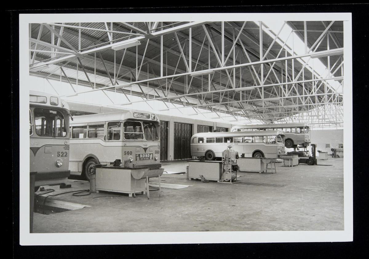[Diesel buses in Onehunga depot] Museum of Transport and Technology